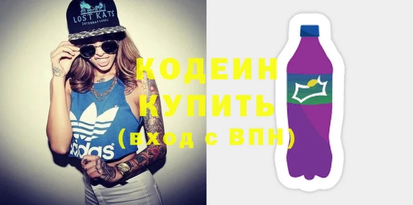трава Инта