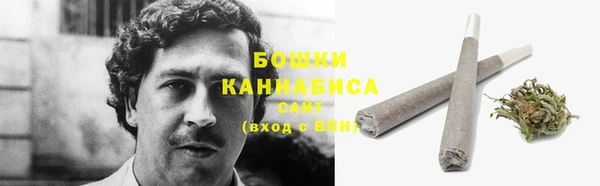 трава Инта