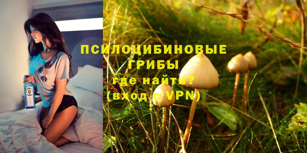 трава Инта