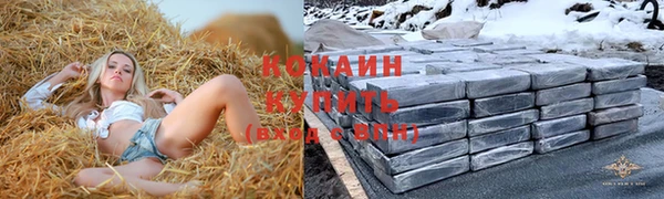 винт Инсар