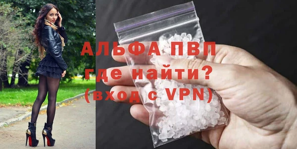 ГАЛЛЮЦИНОГЕННЫЕ ГРИБЫ Иннополис