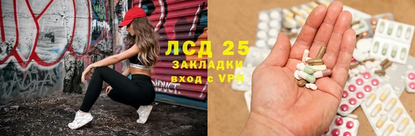 ГАЛЛЮЦИНОГЕННЫЕ ГРИБЫ Иннополис